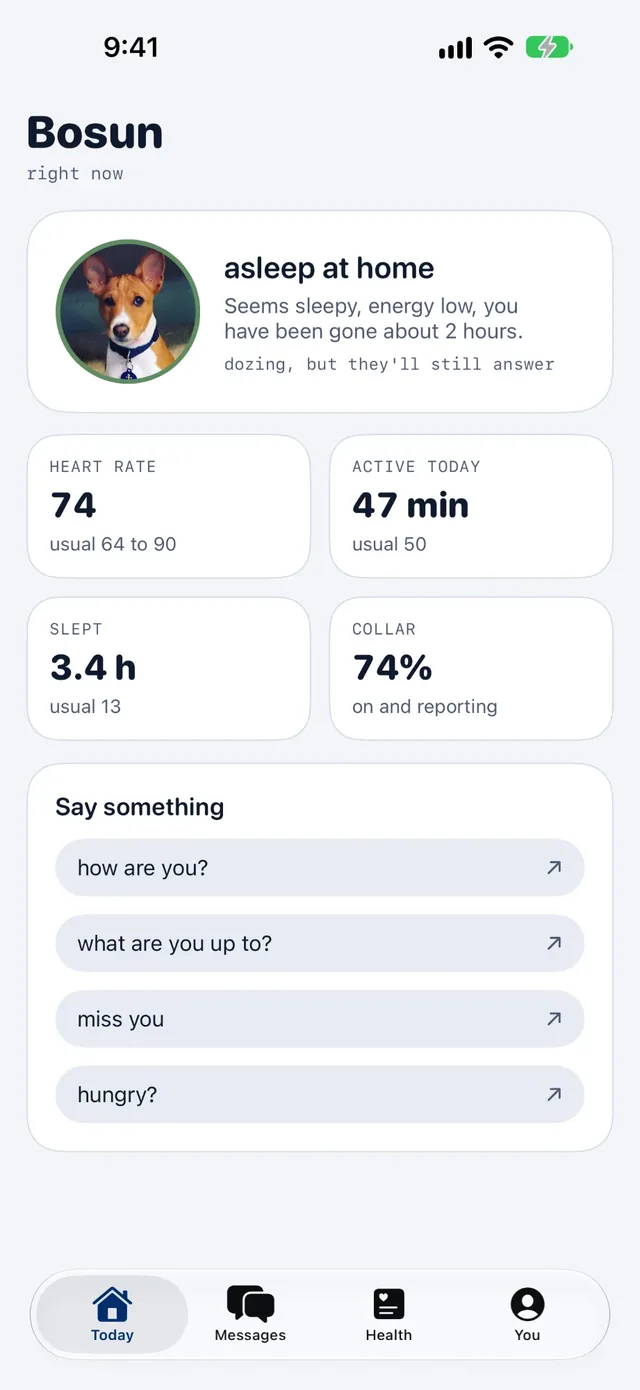 An example Today screen: Bosun is asleep at home. Active 47 minutes, usual 50. Collar on and reporting. Suggested messages: how are you, what are you up to, miss you, hungry.